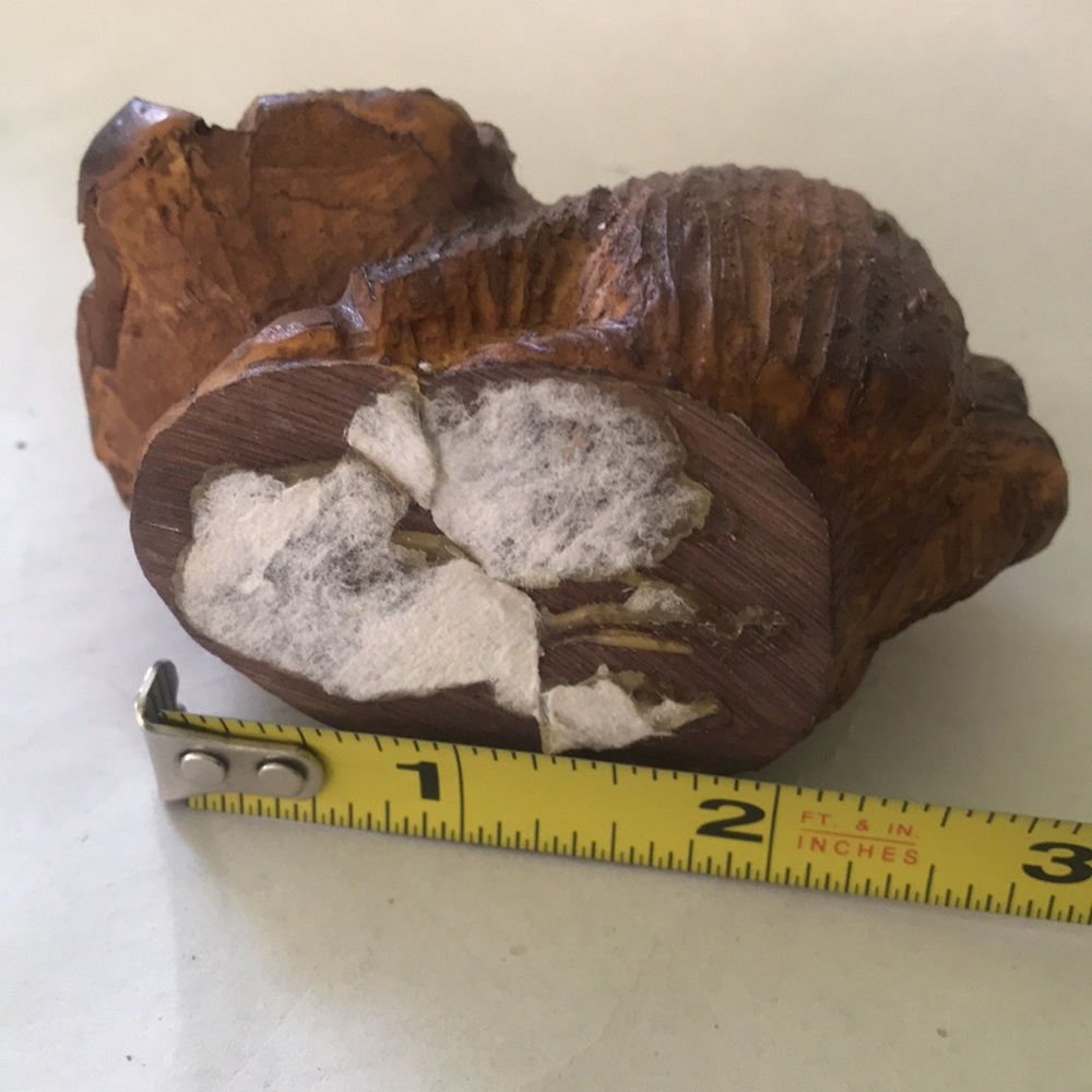 Hand Carved Racoon - Picture 7 of 7